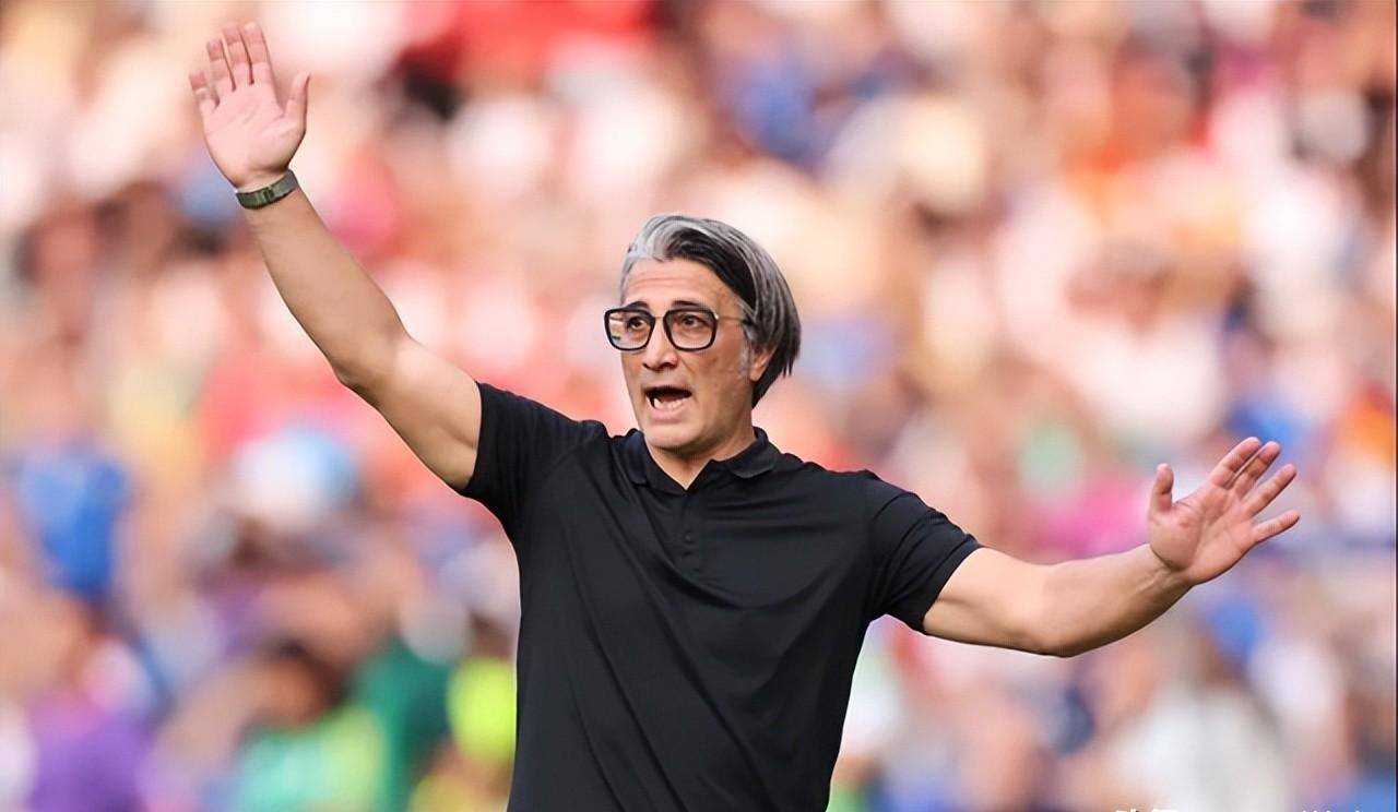 瑞士足球队不懈提升实力，积极进取