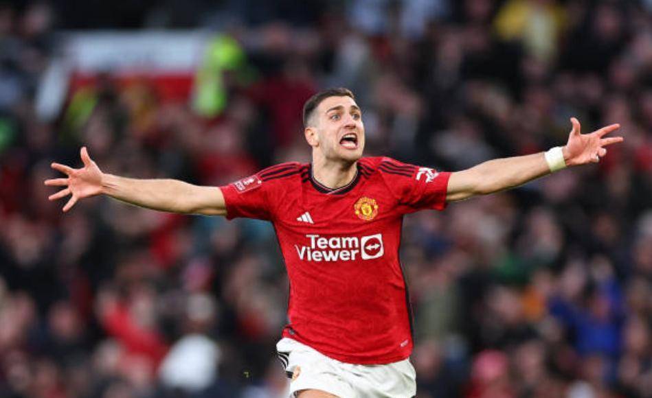 关于绝杀瞬间回放，球迷狂热欢呼不止的信息