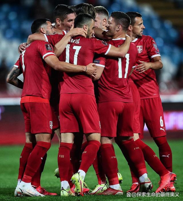 斯洛文尼亚意外晋级，表现出色