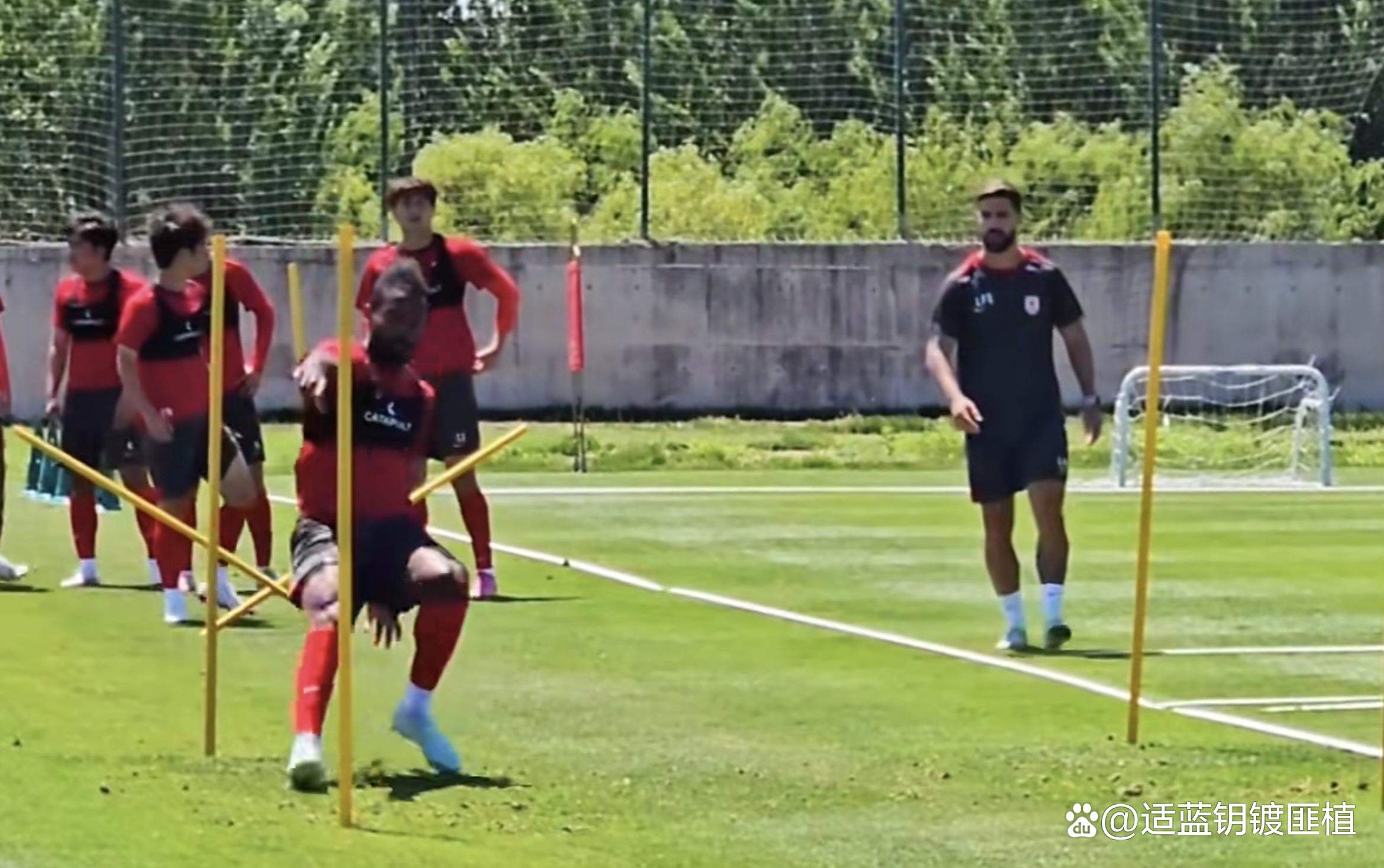 一方名将伤愈复出，球队战斗力再次提升