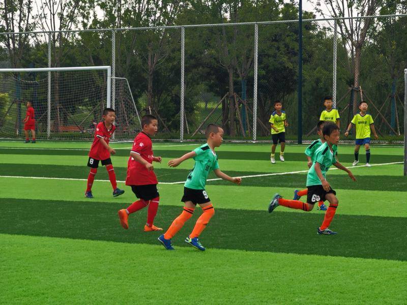 足球比赛奋勇争先，观众沸腾掌声连连